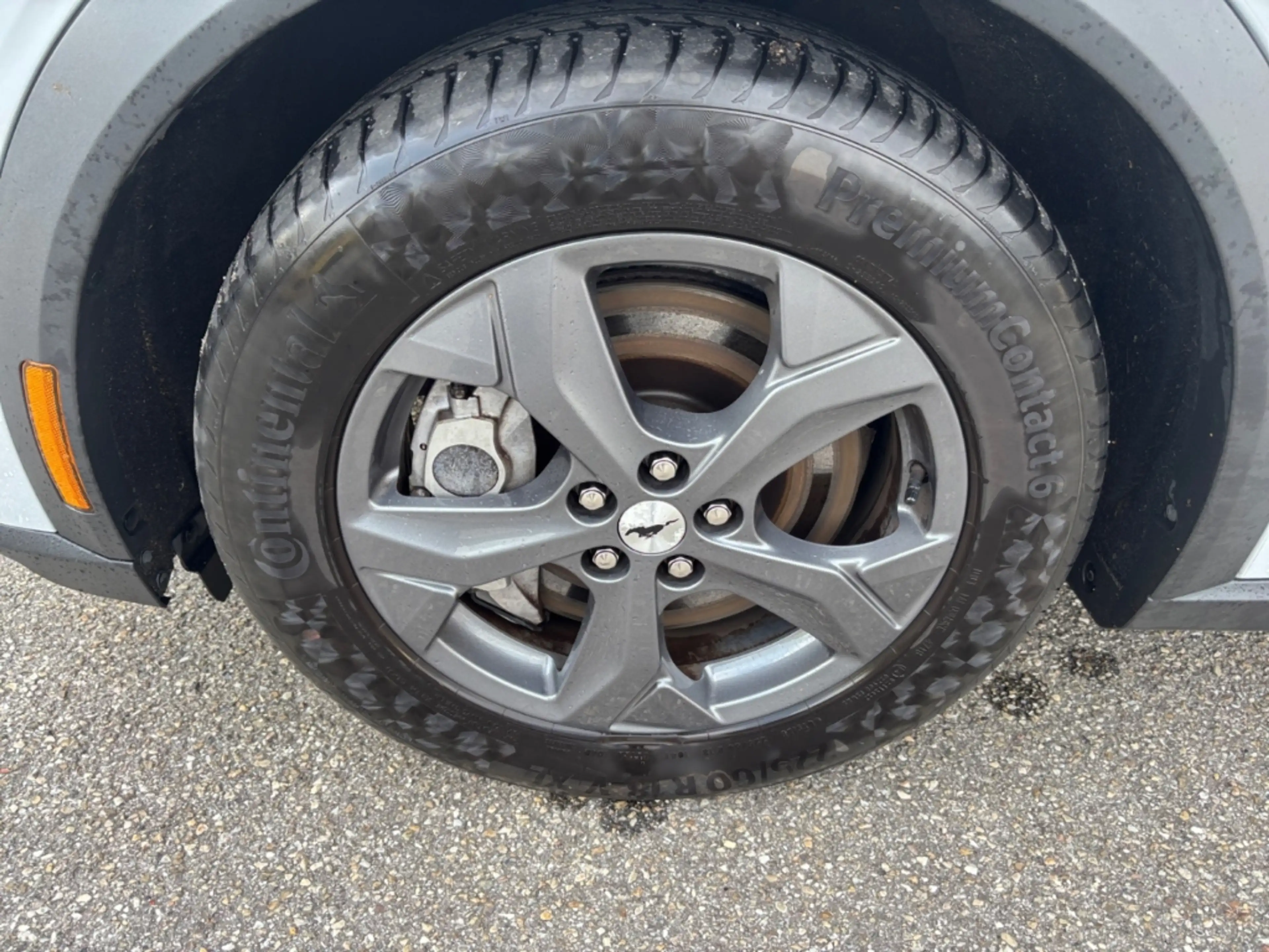 Ford Mustang Mach-E Basis RWD ACC SZH LRH FSH Navi Klimaaut. Apple Car — photo 3