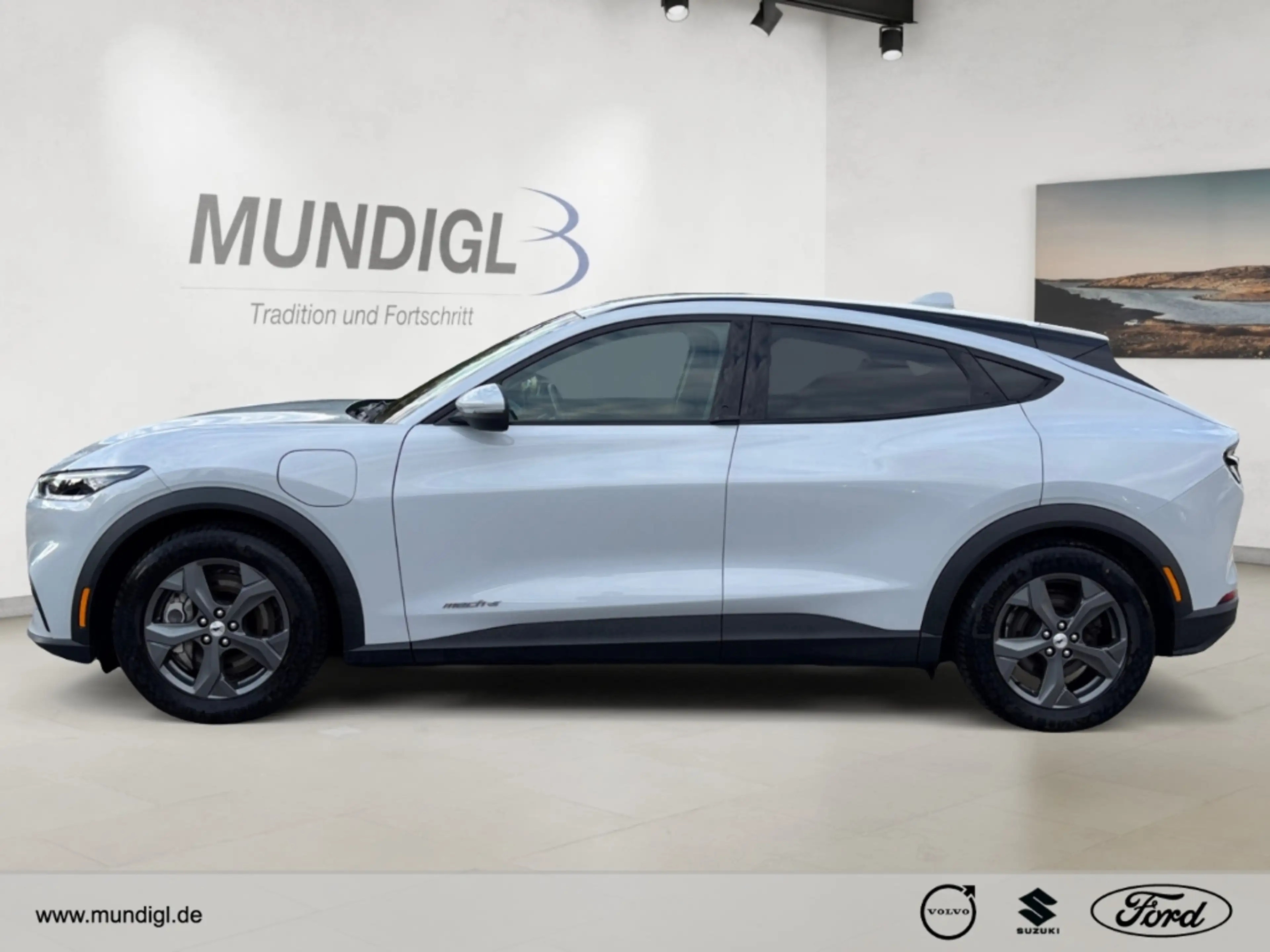Ford Mustang Mach-E Basis RWD ACC SZH LRH FSH Navi Klimaaut. Apple Car — photo 2