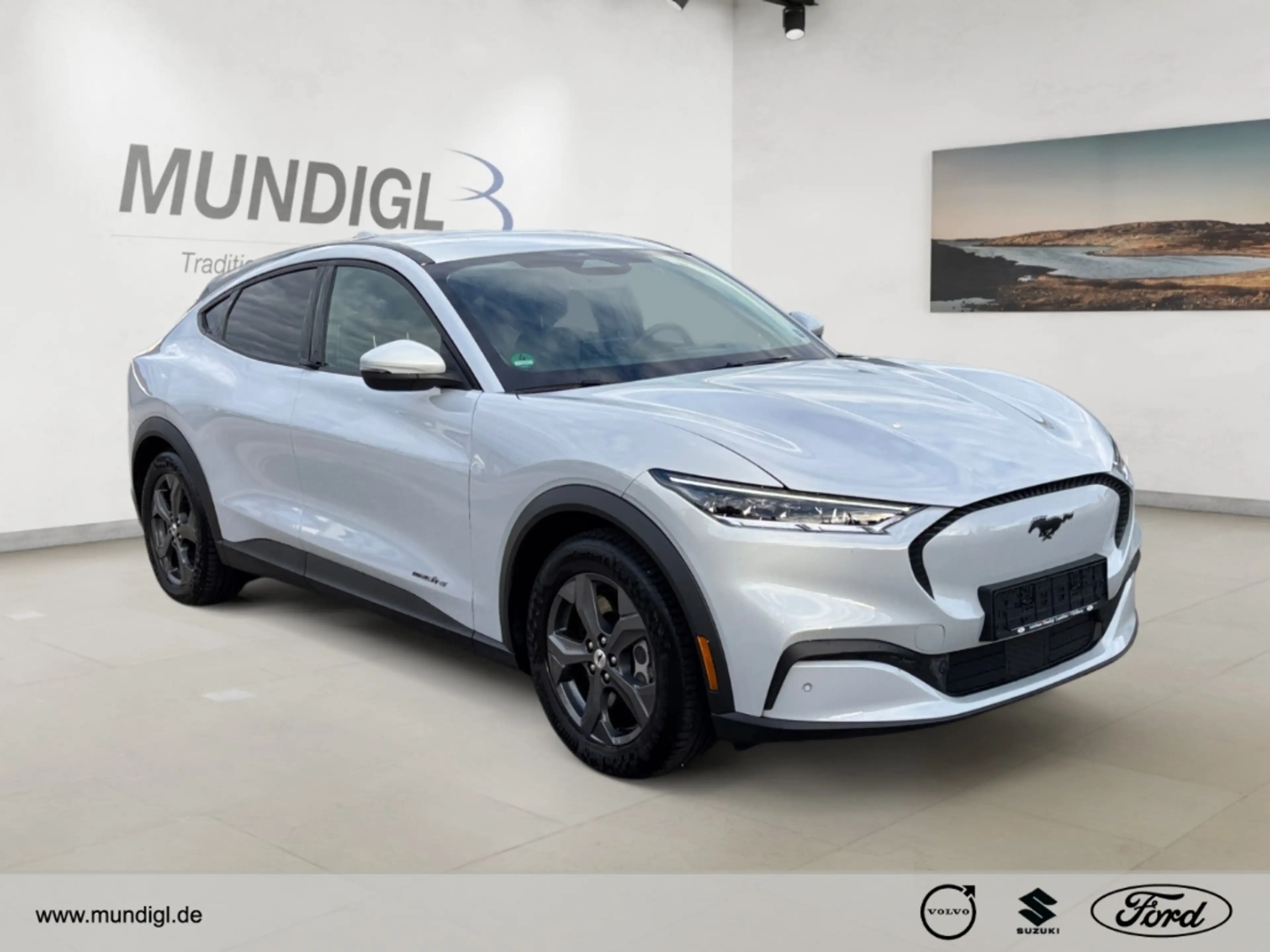Ford Mustang Mach-E Basis RWD ACC SZH LRH FSH Navi Klimaaut. Apple Car — photo 6