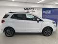 Ford EcoSport 1.0 ecoboost ST-Line S&S Bianco - thumbnail 6