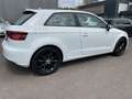 Audi A3 2.0TDI Ambiente*Navi/ACC/B&O/Xenon/Teilleder* Weiß - thumbnail 6