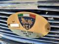 Oldtimer DKW f12 coupe' -asi targa oro - 1965 Bleu - thumbnail 19