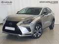 Lexus NX 300 300h Premium 2WD Gris - thumbnail 1