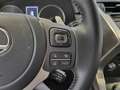 Lexus NX 300 300h Premium 2WD Gris - thumbnail 13