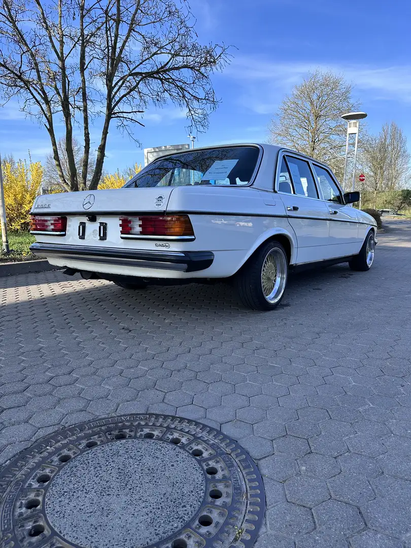 Mercedes-Benz 230 E Alb - 2