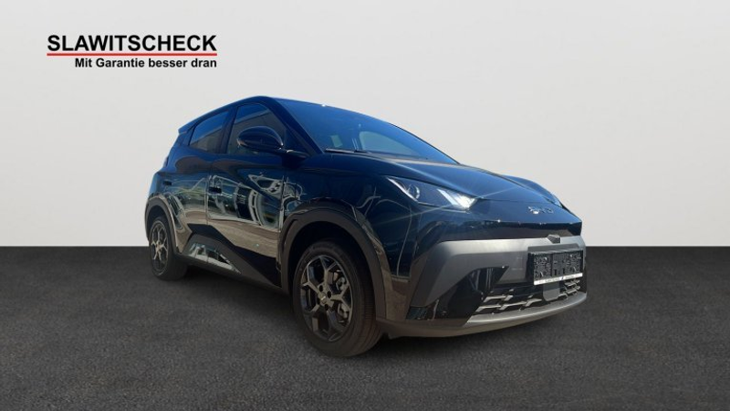 BYD Dolphin Surf Boost — photo 6