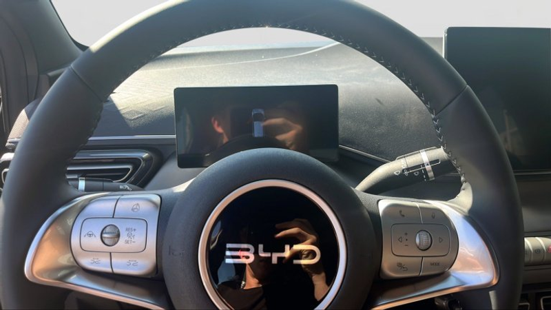 BYD Dolphin Surf Boost — photo 9