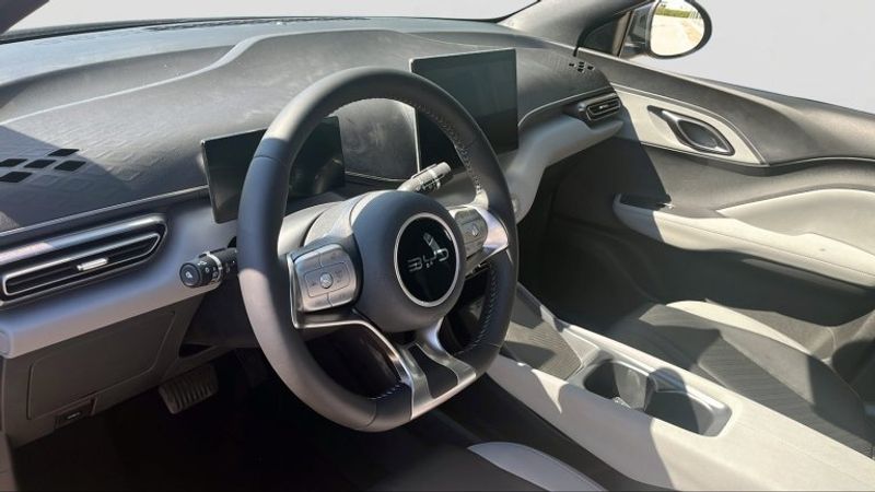 BYD Dolphin Surf Boost — photo 7