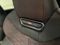 Audi RS5 AVANT 2.9 QUATTRO DAYTONA SPORT PAKET AHK B&O TEC Grau - thumbnail 19
