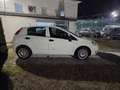 Fiat Grande Punto FIAT Grande Punto 5p 1.2 s&s 69cv Grau - thumbnail 7