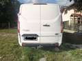 Ford Transit Custom Transit Custom Variobus 2,0 TDCI L2H1 320 Trend Aut. Trend Weiß - thumbnail 4