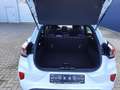 Ford Puma 1.0 EcoBoost Hybrid ST-LINE Weiß - thumbnail 5