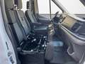 Ford Transit Pritsche 350L3 4X4 AHKStandh.Sitz29Plane Weiß - thumbnail 10