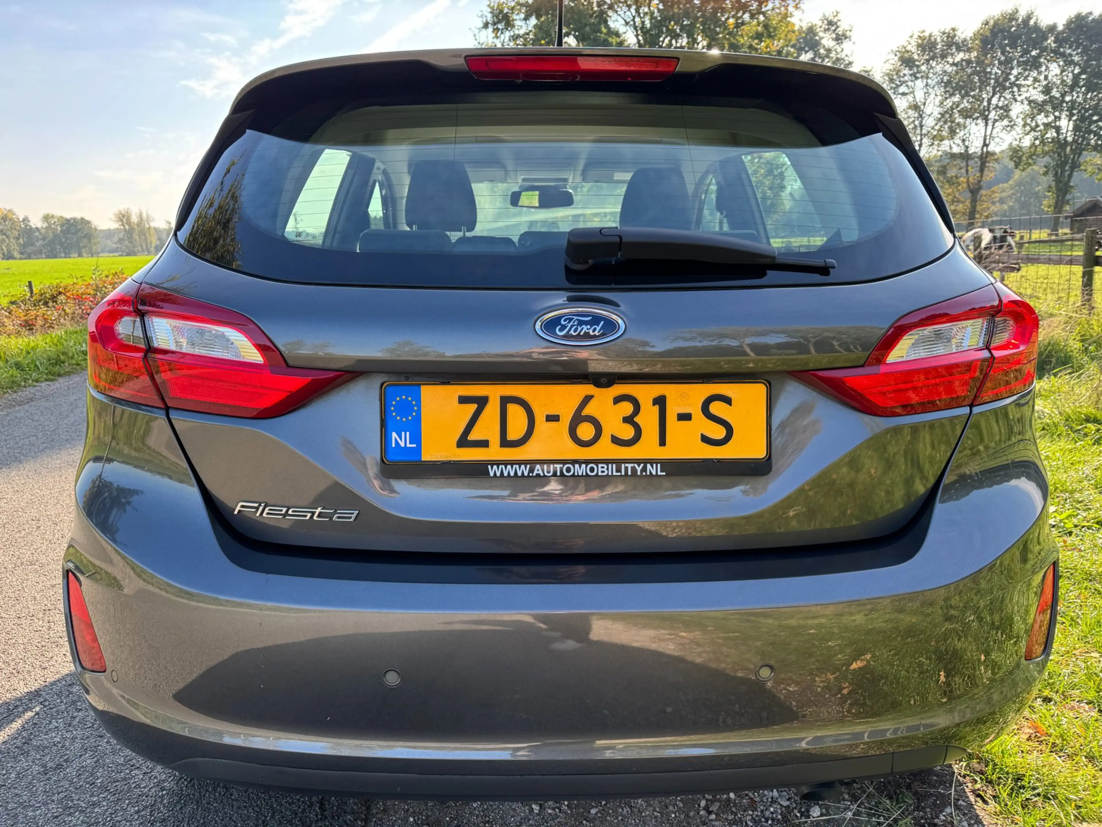 Ford Fiesta 1.0 EcoBoost Titanium top onderhouden|CarPlay/Andr — photo 6