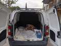 Opel Combo Bianco - thumbnail 10