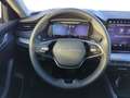 Skoda Octavia Combi Selection 2.0 TDI DSG APP+ACC+NAVI Grau - thumbnail 12