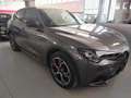 Alfa Romeo Stelvio 2.2 Turbodiesel 210 CV Q4 Veloce SUPERPROMO Gris - thumbnail 13