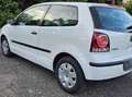 Volkswagen Polo Vw Polo zweite Hand Scheckheft neu tüv Blanco - thumbnail 3