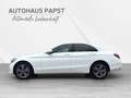 Mercedes-Benz C 220 *** ALLRAD *** AVANTGARDE-PAKET *** 6 PAKETE Weiß - thumbnail 2