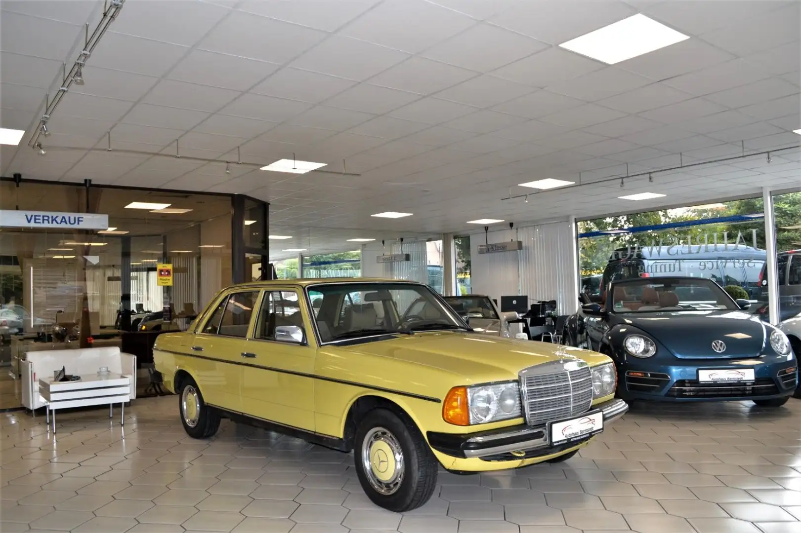 Mercedes-Benz 200 230  - W123  Oldtimer Original Zustand - 1