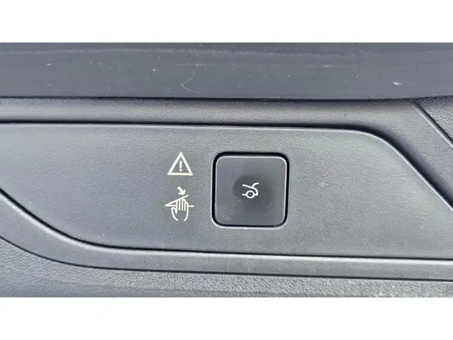 Citroen Grand C4 Spacetourer view 24