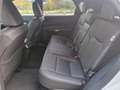 Lexus RX 350 h E-FOUR F SPORT Design Weiß - thumbnail 7