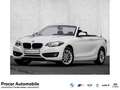 BMW 218 i ADVANTAGE+SHZ+SPORTLENKRAD Blanc - thumbnail 1