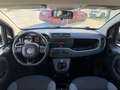 Fiat Panda 1.2 Lounge 69cv - thumbnail 10