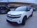 Citroen C5 Aircross 1.5 HDI 130CV Bianco - thumbnail 8