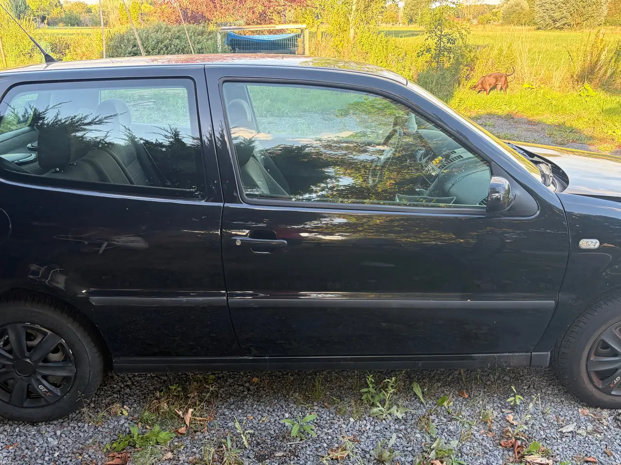 Volkswagen Polo 1.4i 16v Trendline, foto 3