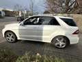 Mercedes-Benz ML 350 CDI 4M 7G AMG BRABUS PANORAMA BI-XENON Weiß - thumbnail 7