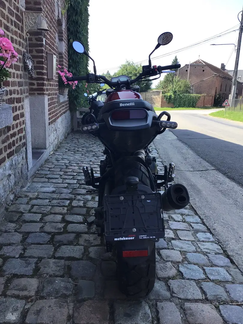 Benelli Leoncino 500 Trail Rood - 1