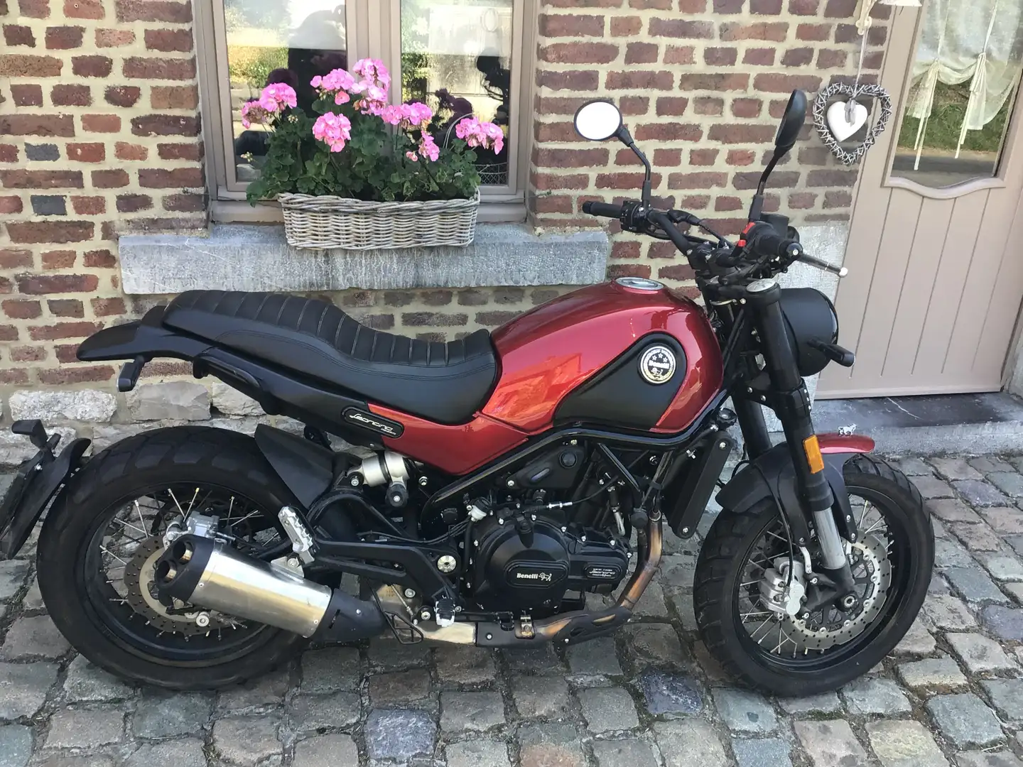 Benelli Leoncino 500 Trail Rood - 2