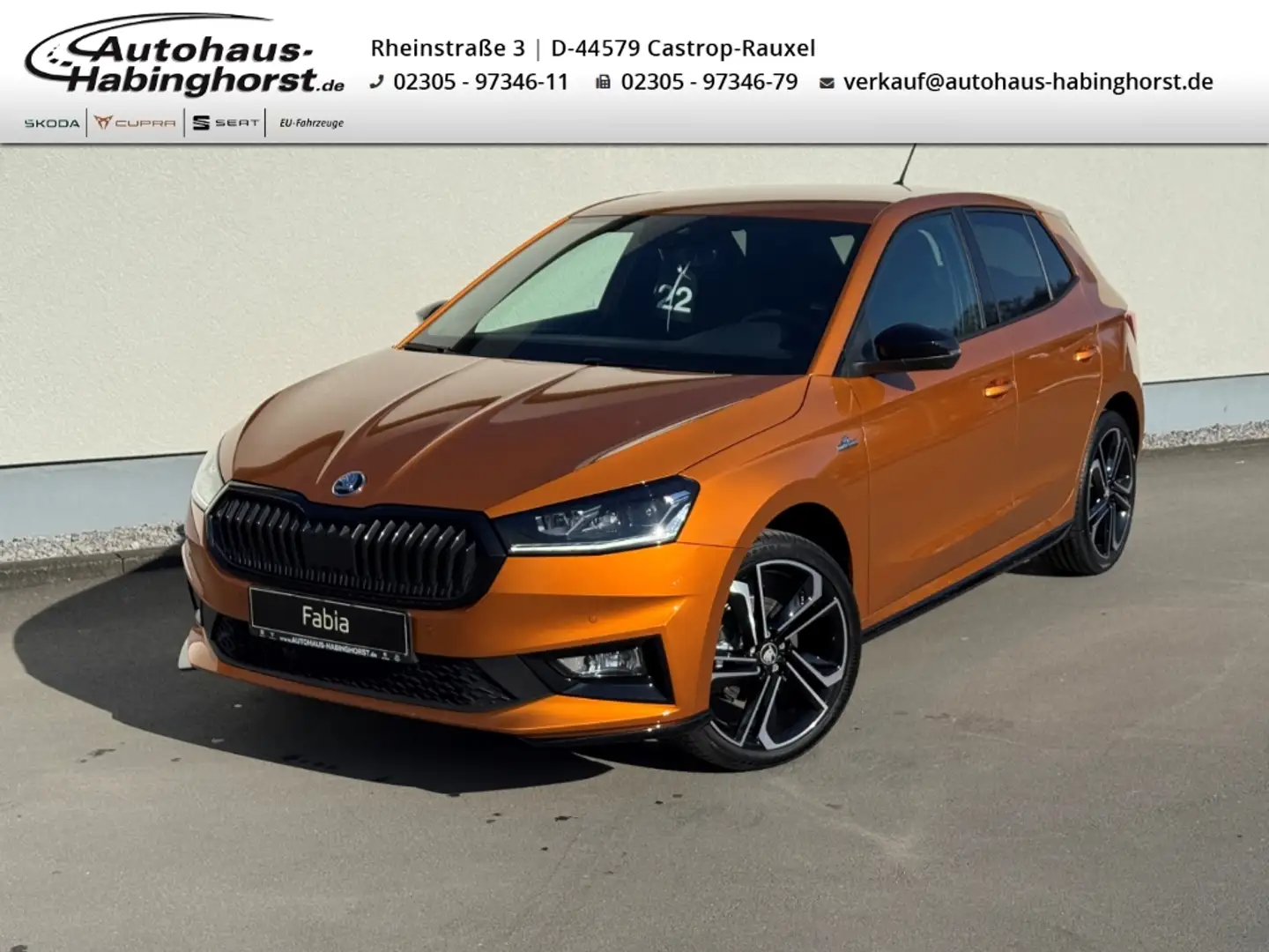 Skoda Fabia IV 1.5 TSI DSG Monte Carlo Navi ACC LED Shz 18Alu Arancione - 1