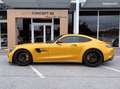 Mercedes-Benz AMG GT MERCEDES-AMG GT-R COUPÉ (2) 4.0 V8 585ch SPEEDSHIFT 7 Giallo - thumbnail 4