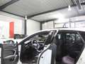 Audi RS7 Sportback 4.0 TFSI Q RS-DYNAMIK-PAKET-PLUS Blanco - thumbnail 24