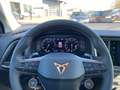 CUPRA Ateca Basis 4Drive 2.0 TSI EU6e NP:53200 € Memory Sitze Grau - thumbnail 17