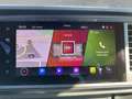 CUPRA Ateca Basis 4Drive 2.0 TSI EU6e NP:53200 € Memory Sitze Grau - thumbnail 19