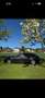 Audi A4 Avant Quattro 2,0 TDI DPF - thumbnail 5