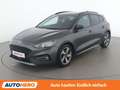 Ford Focus 1.5 TDCi EcoBlue Active Grau - thumbnail 1