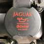 Jaguar X-Type E-Type 3.0 V6 Executive Verde - thumbnail 5