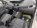 Renault Scenic Scénic XMod 1.5 dCi 110CV Wave Bianco - thumbnail 15