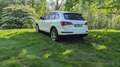 Audi Q5 2.0 TFSI quattro S tronic Blanc - thumbnail 11