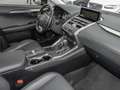 Lexus NX 300h E-Four EU6d-T Allrad Navi Leder LED Dyn. Kurvenlic Black - thumbnail 4