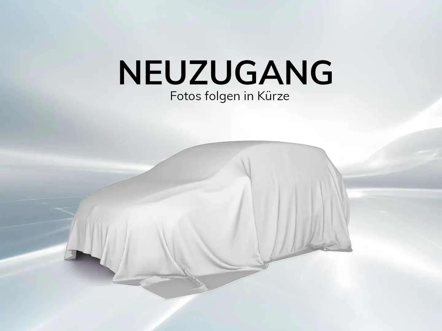 CUPRA Terramar 2.0 TSI DSG 4Drive VZ*AHK*Pano*5JGa*HUD Grau - 1