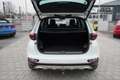 Kia Sportage 1.6 GT-Line 4WD*AHK*360°*Navi*ACC*JBL* Weiß - thumbnail 42