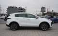 Kia Sportage 1.6 GT-Line 4WD*AHK*360°*Navi*ACC*JBL* Weiß - thumbnail 4