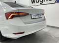 Skoda Octavia Limo 2,0 TDI Premium DSG.Matrix LED/ACC/DCC/Nav... Weiß - thumbnail 16
