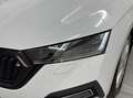 Skoda Octavia Limo 2,0 TDI Premium DSG.Matrix LED/ACC/DCC/Nav... Weiß - thumbnail 4