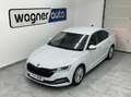 Skoda Octavia Limo 2,0 TDI Premium DSG.Matrix LED/ACC/DCC/Nav... Weiß - thumbnail 3